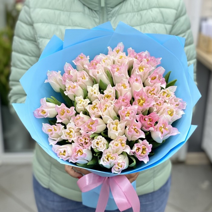 51  бело-розовый тюльпан Краун