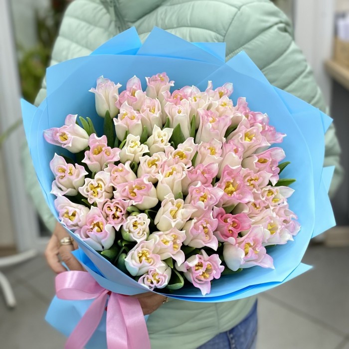 51  бело-розовый тюльпан Краун