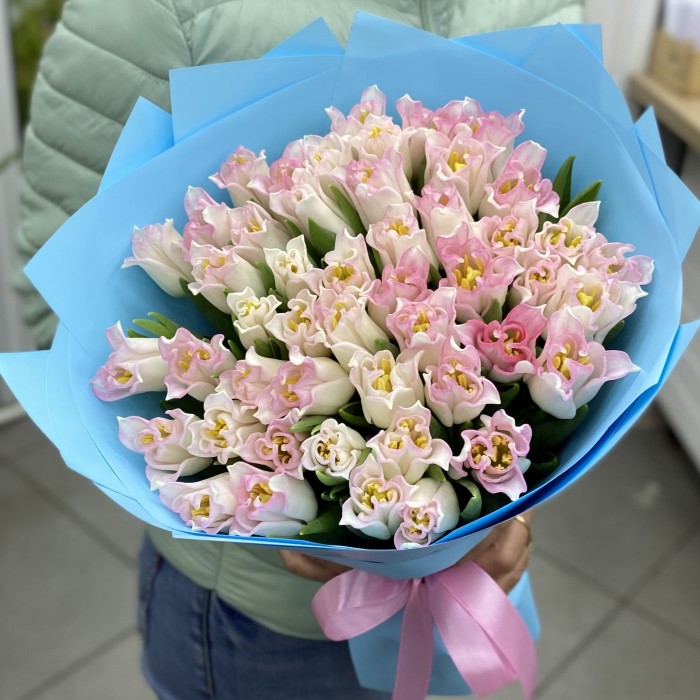 51  бело-розовый тюльпан Краун