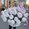 51 бело-сиреневая георгина в корзине