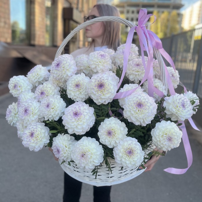 51 бело-сиреневая георгина в корзине