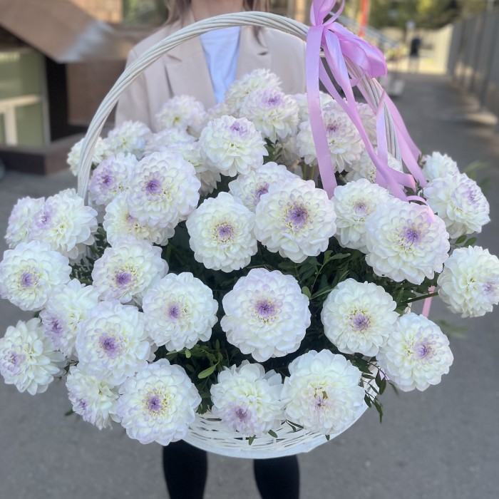 51 бело-сиреневая георгина в корзине
