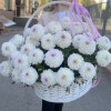 51 бело-сиреневая георгина в корзине