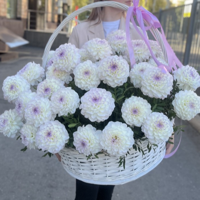51 бело-сиреневая георгина в корзине