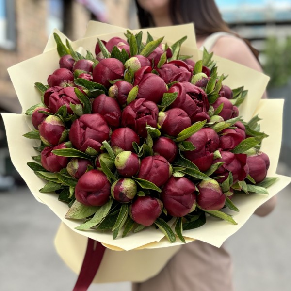 51 бордовый пион в упаковке