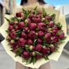 51 бордовый пион в упаковке