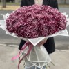 51 фиолетовая хризантема