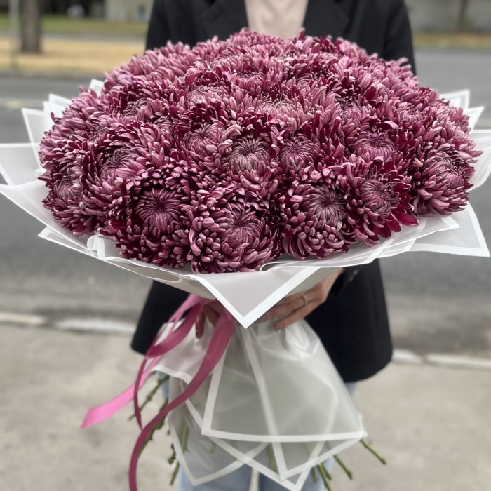 51 фиолетовая хризантема