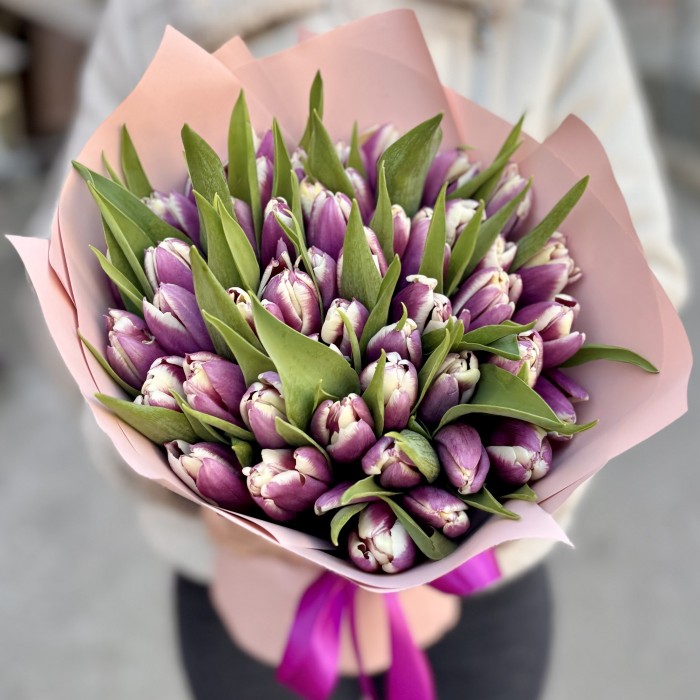 51 бело-фиолетовый тюльпан Лайт харт