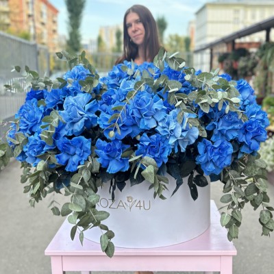 51 пышная голубая роза с эвкалиптом в коробке