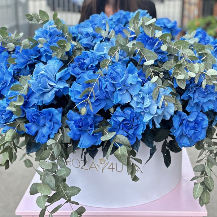 51 пышная голубая роза с эвкалиптом в коробке