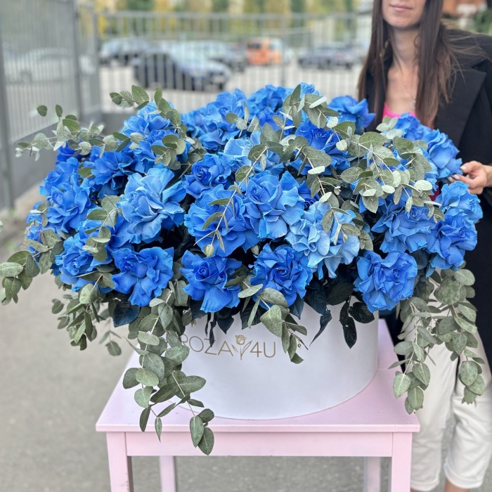 51 пышная голубая роза с эвкалиптом в коробке