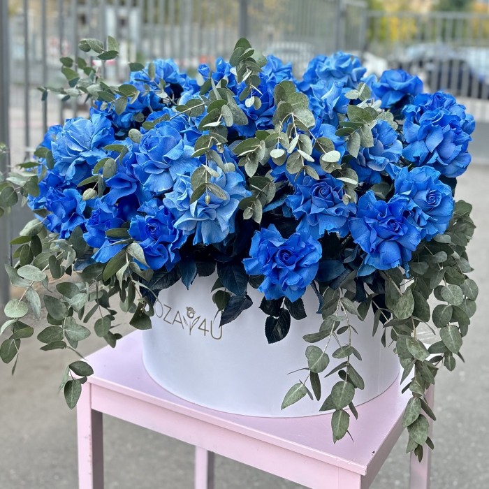 51 пышная голубая роза с эвкалиптом в коробке