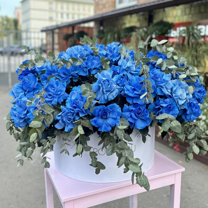 51 пышная голубая роза с эвкалиптом в коробке