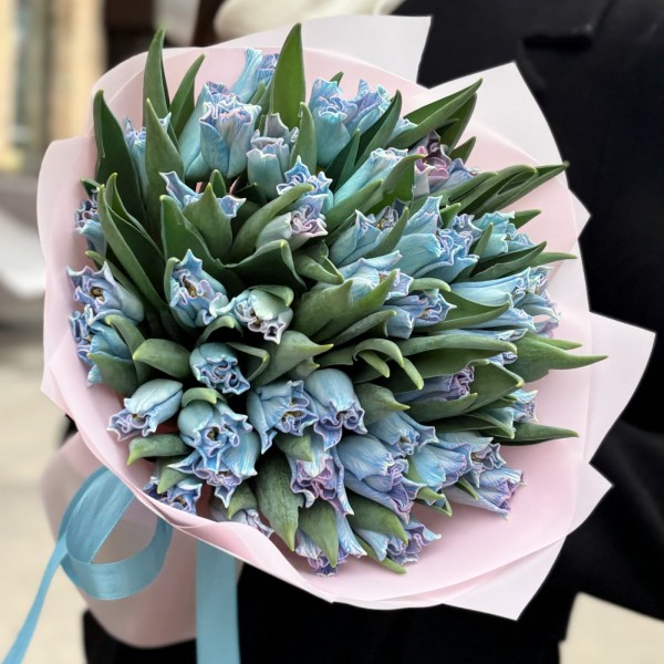 51 голубой тюльпан Лунный краун