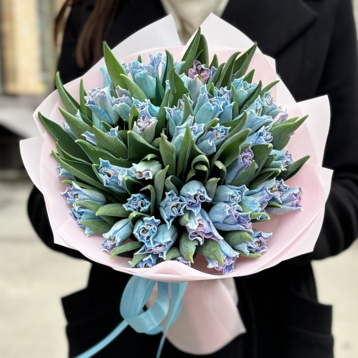 51 голубой тюльпан Лунный краун