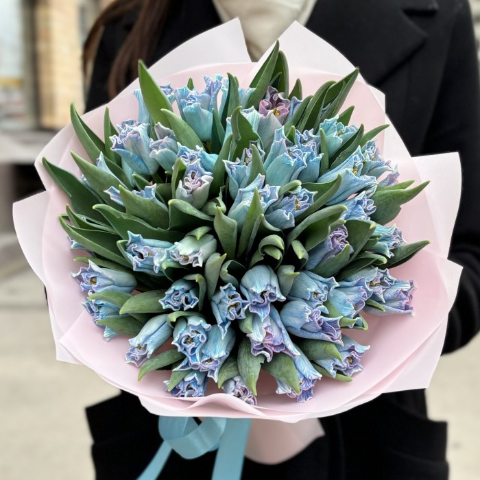 51 голубой тюльпан Лунный краун