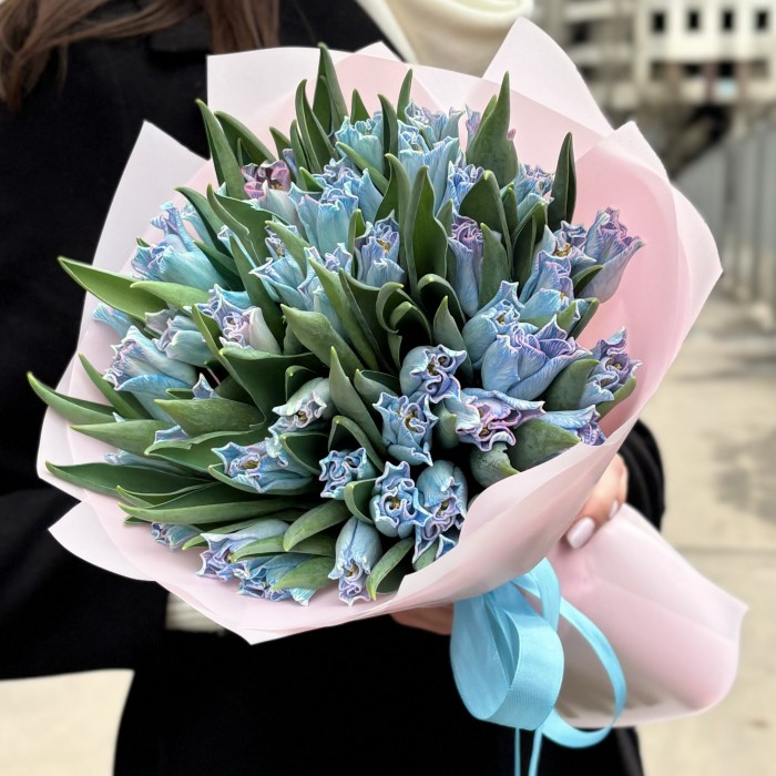 51 голубой тюльпан Лунный краун