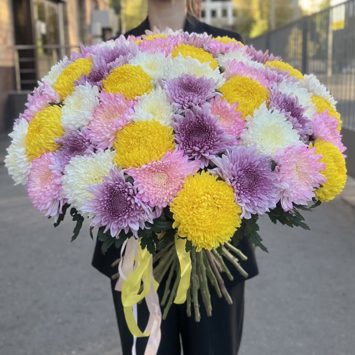 51 хризантема Микс