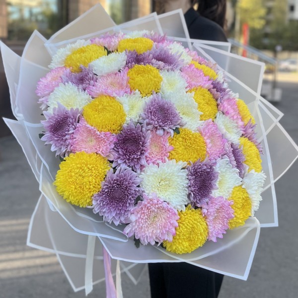 51 хризантема микс в упаковке