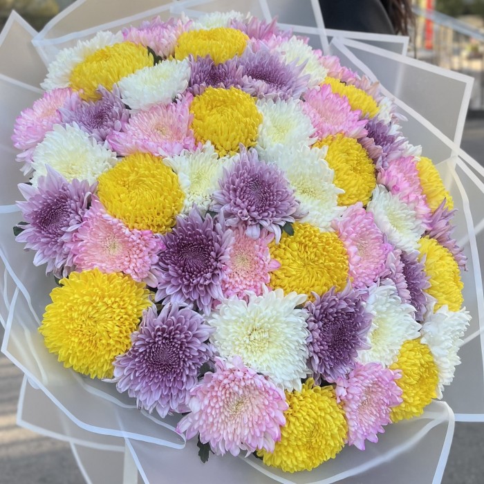 51 хризантема микс в упаковке