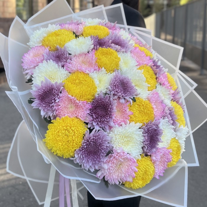 51 хризантема микс в упаковке