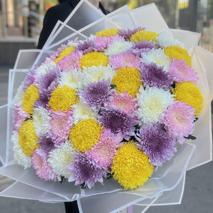 51 хризантема микс в упаковке
