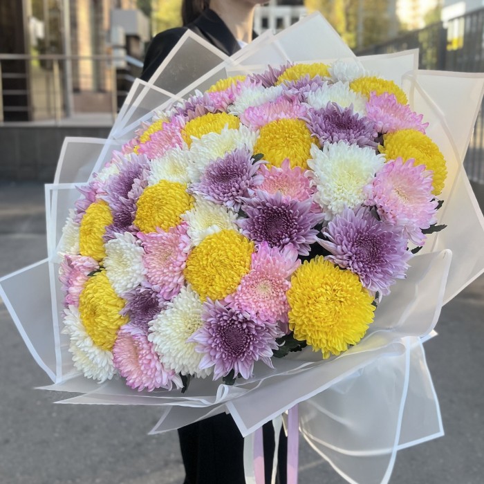 51 хризантема микс в упаковке