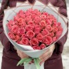 51 коралловая роза