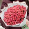 51 коралловая роза