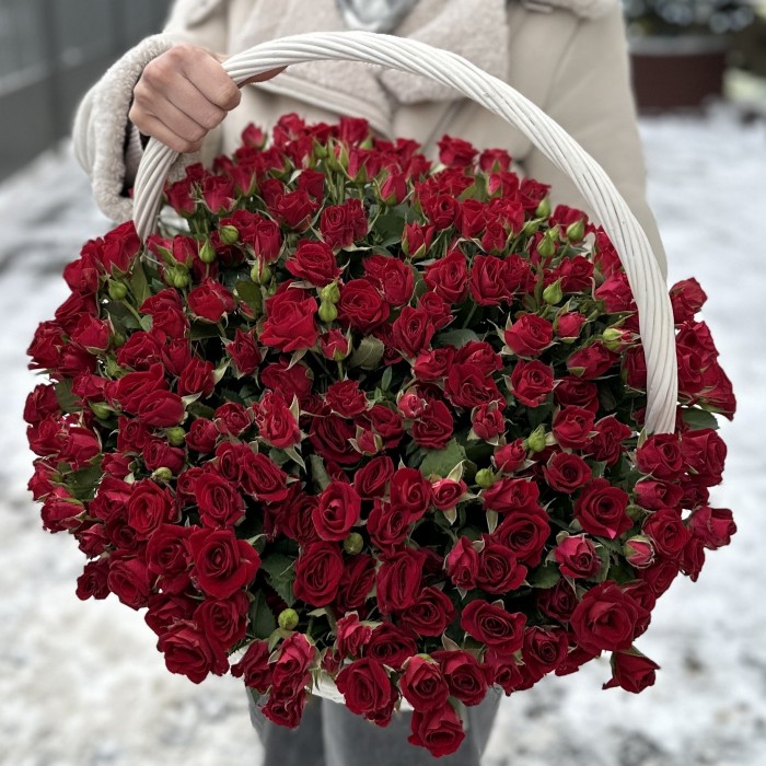 51 красная кустовая роза Рубикон в корзине