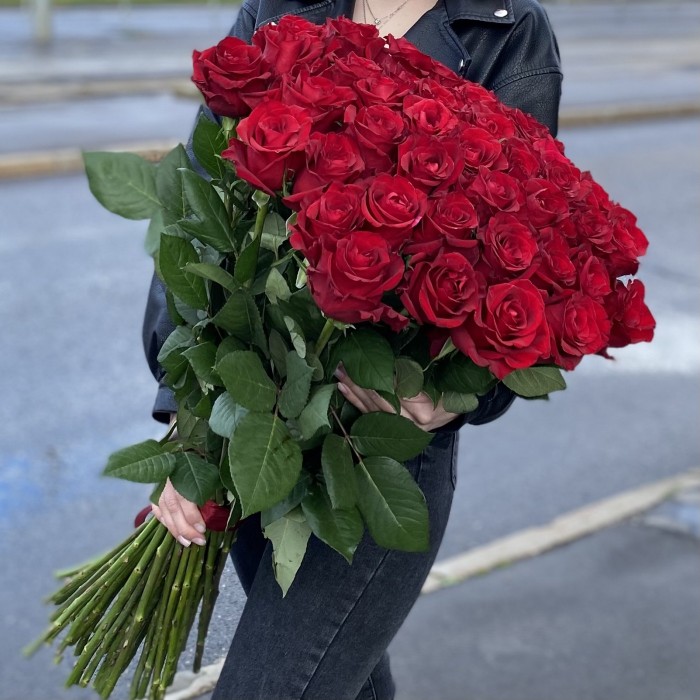 51 красная роза Эвер Ред 80 см