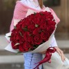 51 красная роза Эвер ред 60 см