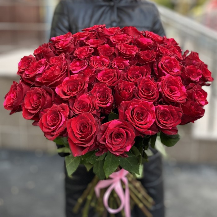 51 красная роза Ред Пантер 60 см