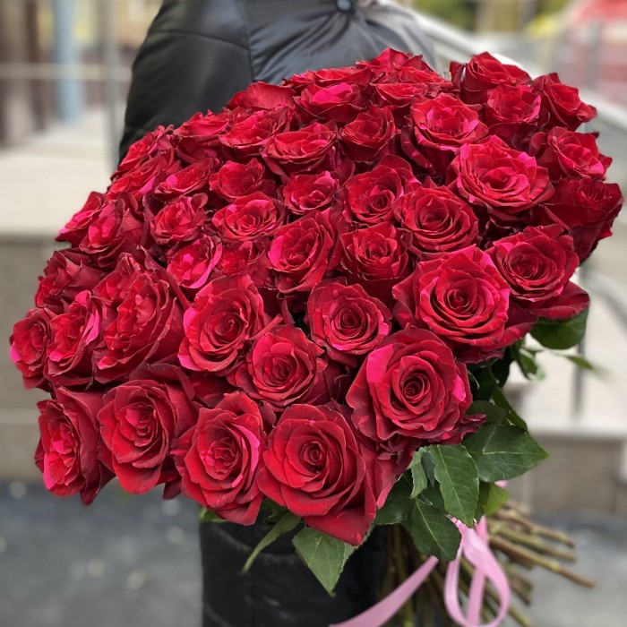 51 красная роза Ред Пантер 60 см
