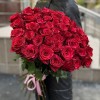 51 красная роза Ред Пантер 60 см