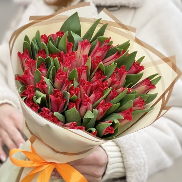 51 красный тюльпан Ред дресс