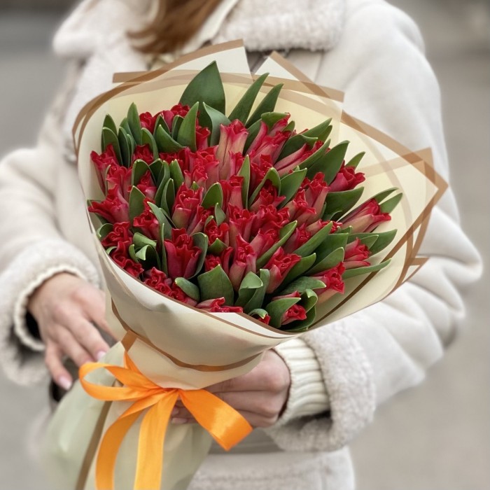 51 красный тюльпан Ред дресс