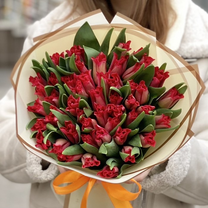 51 красный тюльпан Ред дресс