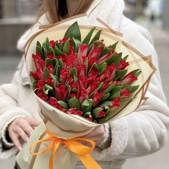 51 красный тюльпан Ред дресс