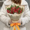 51 красный тюльпан Ред дресс