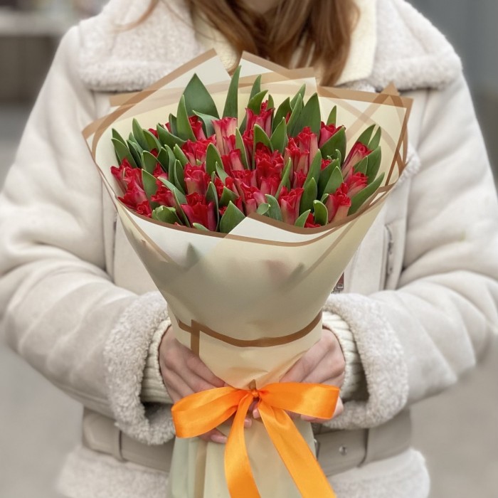 51 красный тюльпан Ред дресс