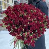 51 кустовая красная роза Рубикон 80 см