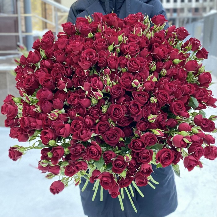 51 кустовая красная роза Рубикон 80 см