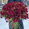 51 кустовая красная роза Рубикон 80 см
