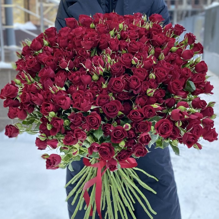 51 кустовая красная роза Рубикон 80 см