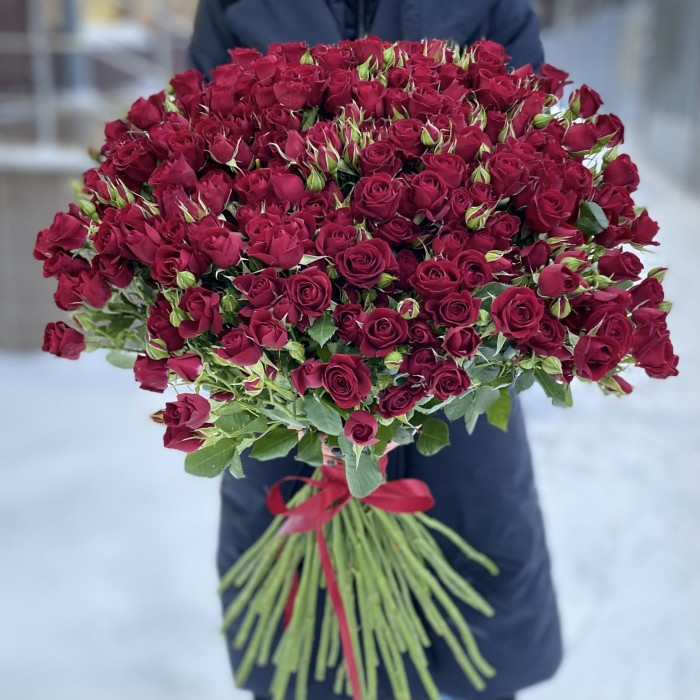 51 кустовая красная роза Рубикон 80 см