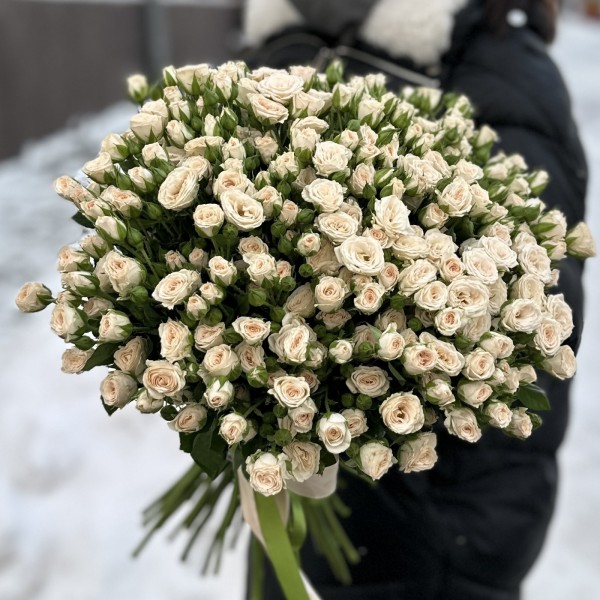 51 кустовая кремовая роза Рослин 40 см