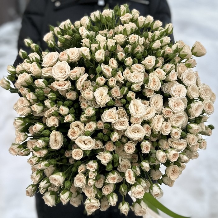 51 кустовая кремовая роза Рослин 40 см