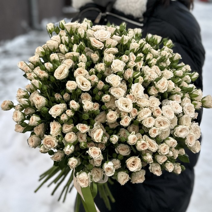 51 кустовая кремовая роза Рослин 40 см